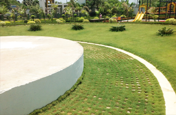 landscape in chennai,chennai landscape architects, chennai gardening, chennai swimming pool maintenance, chennai swimming pool designers, chennai terrace gardens, 
